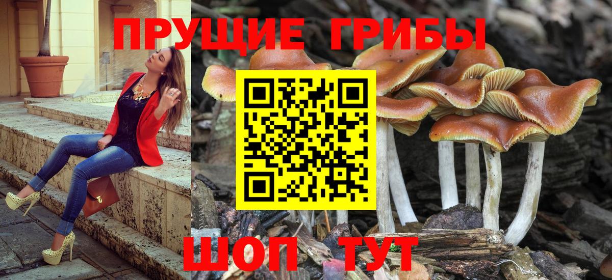 Галлюциногенные грибы GOLDEN TEACHER Людиново